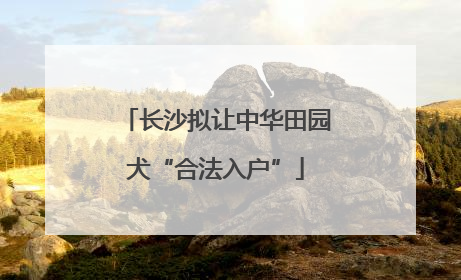 长沙拟让中华田园犬“合法入户”