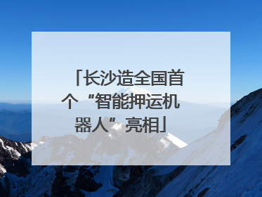 长沙造全国首个“智能押运机器人”亮相