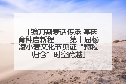 镰刀割麦话传承 基因育种启新程——第十届杨凌小麦文化节见证“颗粒归仓”时空跨越