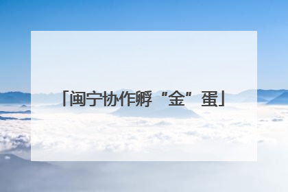 闽宁协作孵“金”蛋