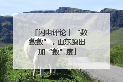 闪电评论丨“数数数”，山东跑出加“数”度