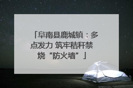 阜南县鹿城镇：多点发力 筑牢秸秆禁烧“防火墙”