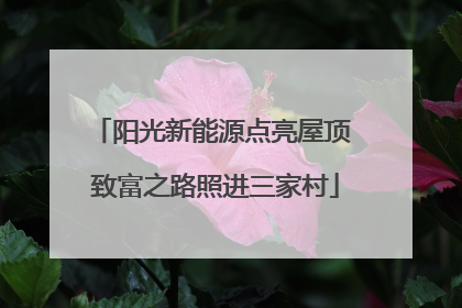阳光新能源点亮屋顶 致富之路照进三家村