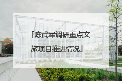 陈武军调研重点文旅项目推进情况