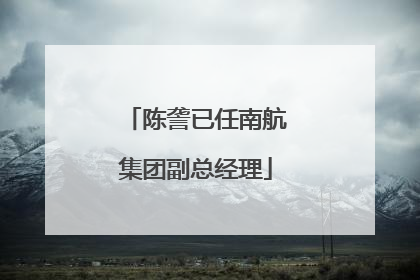 陈詟已任南航集团副总经理