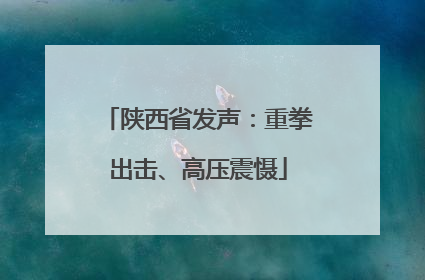 陕西省发声：重拳出击、高压震慑