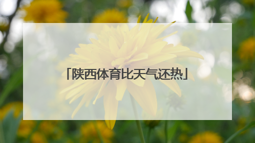 陕西体育比天气还热