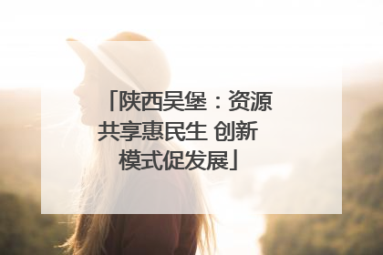 陕西吴堡：资源共享惠民生 创新模式促发展