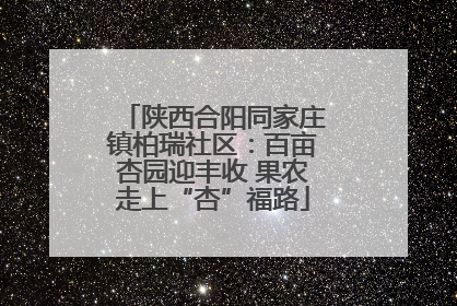 陕西合阳同家庄镇柏瑞社区：百亩杏园迎丰收 果农走上“杏”福路
