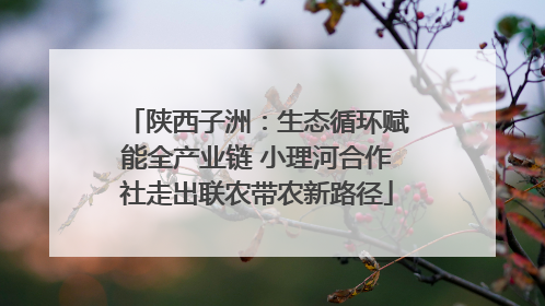 陕西子洲：生态循环赋能全产业链 小理河合作社走出联农带农新路径