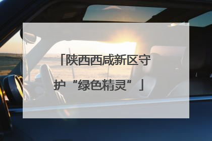 陕西西咸新区守护“绿色精灵”