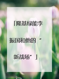 隆基绿能李振国和他的“新战场”