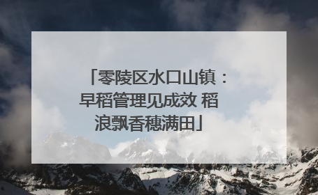 零陵区水口山镇：早稻管理见成效 稻浪飘香穗满田