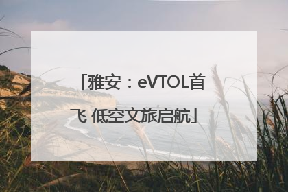 雅安：eVTOL首飞 低空文旅启航