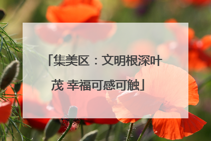集美区：文明根深叶茂 幸福可感可触
