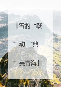 雪豹“跃”动 “典”亮青海