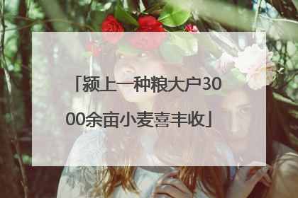 颍上一种粮大户3000余亩小麦喜丰收
