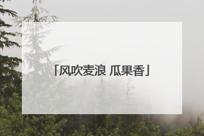 风吹麦浪 瓜果香
