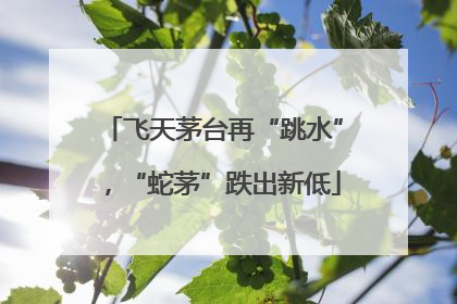 飞天茅台再“跳水”，“蛇茅”跌出新低