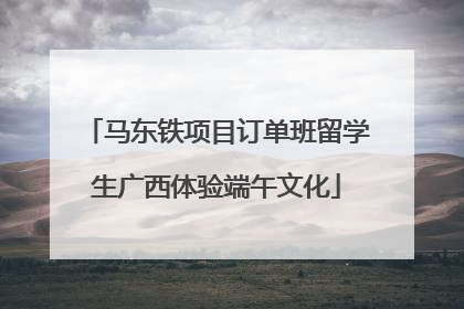 马东铁项目订单班留学生广西体验端午文化