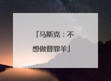 马斯克：不想做替罪羊