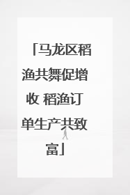 马龙区稻渔共舞促增收 稻渔订单生产共致富
