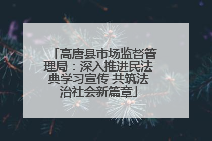 高唐县市场监督管理局：深入推进民法典学习宣传 共筑法治社会新篇章