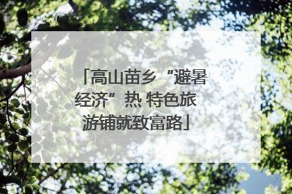 高山苗乡“避暑经济”热 特色旅游铺就致富路