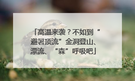 高温来袭？不如到“避暑顶流”金洞登山、漂流、“森”呼吸吧