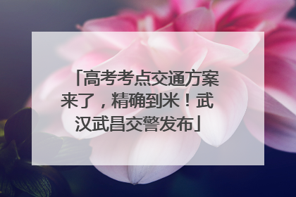 高考考点交通方案来了，精确到米！武汉武昌交警发布
