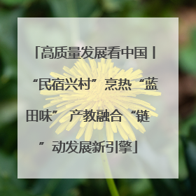 高质量发展看中国丨“民宿兴村”烹热“蓝田味” 产教融合“链”动发展新引擎