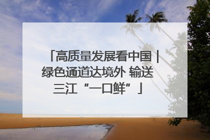 高质量发展看中国｜绿色通道达境外 输送三江“一口鲜”