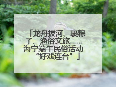 龙舟拔河、裹粽子、渔俗文旅……海宁端午民俗活动“好戏连台”