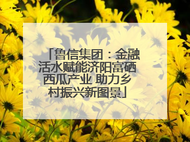 鲁信集团：金融活水赋能济阳富硒西瓜产业 助力乡村振兴新图景