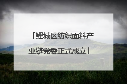 鲤城区纺织面料产业链党委正式成立