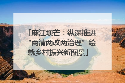 麻江坝芒：纵深推进“两清两改两治理”绘就乡村振兴新图景