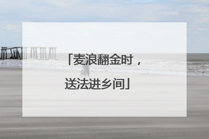麦浪翻金时，送法进乡间