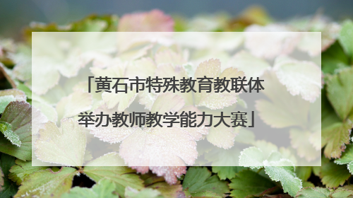 黄石市特殊教育教联体举办教师教学能力大赛