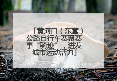 黄河口（东营）公路自行车赛聚赛事“骑迹”，迸发城市运动活力