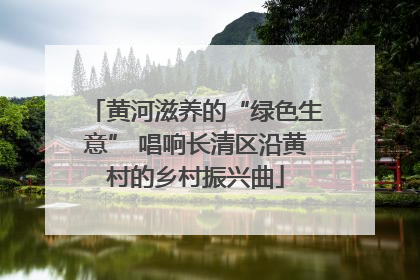 黄河滋养的“绿色生意” 唱响长清区沿黄村的乡村振兴曲