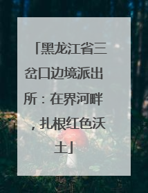 黑龙江省三岔口边境派出所：在界河畔，扎根红色沃土