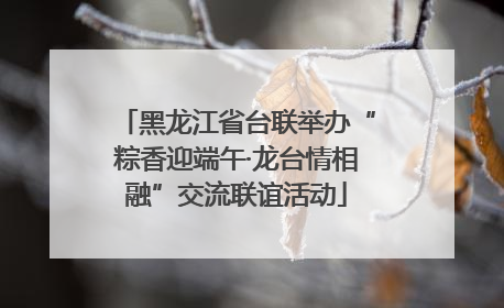 黑龙江省台联举办“粽香迎端午·龙台情相融”交流联谊活动