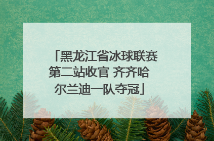 黑龙江省冰球联赛第二站收官 齐齐哈尔兰迪一队夺冠