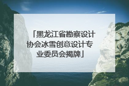 黑龙江省勘察设计协会冰雪创意设计专业委员会揭牌