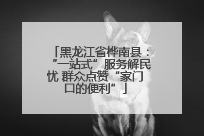 黑龙江省桦南县：“一站式”服务解民忧 群众点赞“家门口的便利”