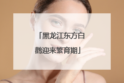 黑龙江东方白鹳迎来繁育期