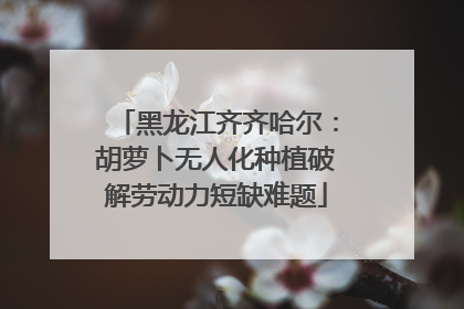 黑龙江齐齐哈尔：胡萝卜无人化种植破解劳动力短缺难题