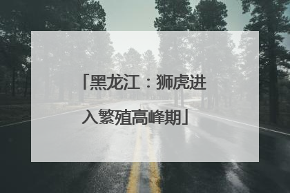 黑龙江：狮虎进入繁殖高峰期