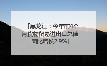 黑龙江：今年前4个月货物贸易进出口总值同比增长2.9%