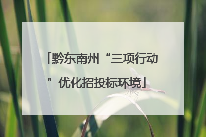 黔东南州“三项行动”优化招投标环境
